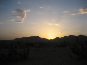 Steven Cohen Forensic Psychiatrist mountain.sunset