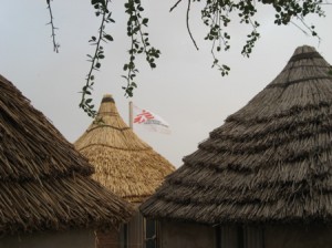Steven Cohen Psychiatrist Toronto thatch_thorns Steven Cohen Psychiatrist Toronto thatch_thorns