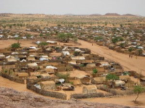 Steven Cohen Psychiatrist | farchana_camp