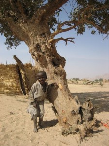 Steven Cohen Psychiatrist boy.tree.1 Steven Cohen Psychiatrist boy.tree.1