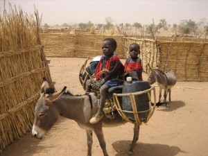 Steven Cohen Forensic Psychiatrist goundiang.pony.boys Steven Cohen Forensic Psychiatrist goundiang.pony.boys