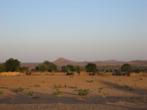 walkabout.10