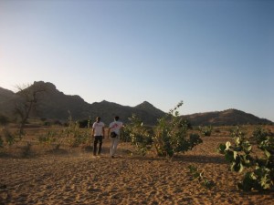 walkabout.4
