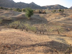 walkabout.5